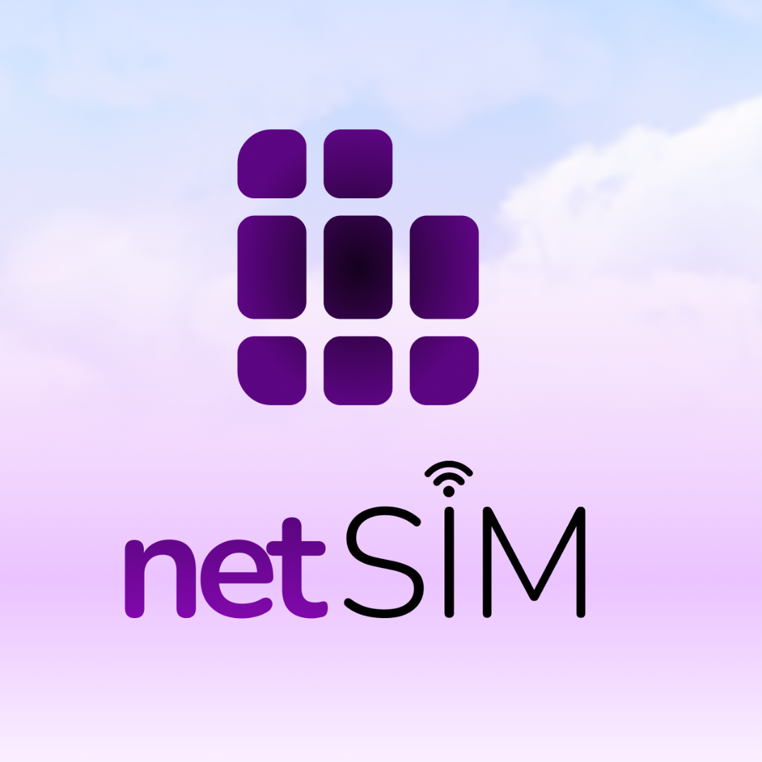 netSIM