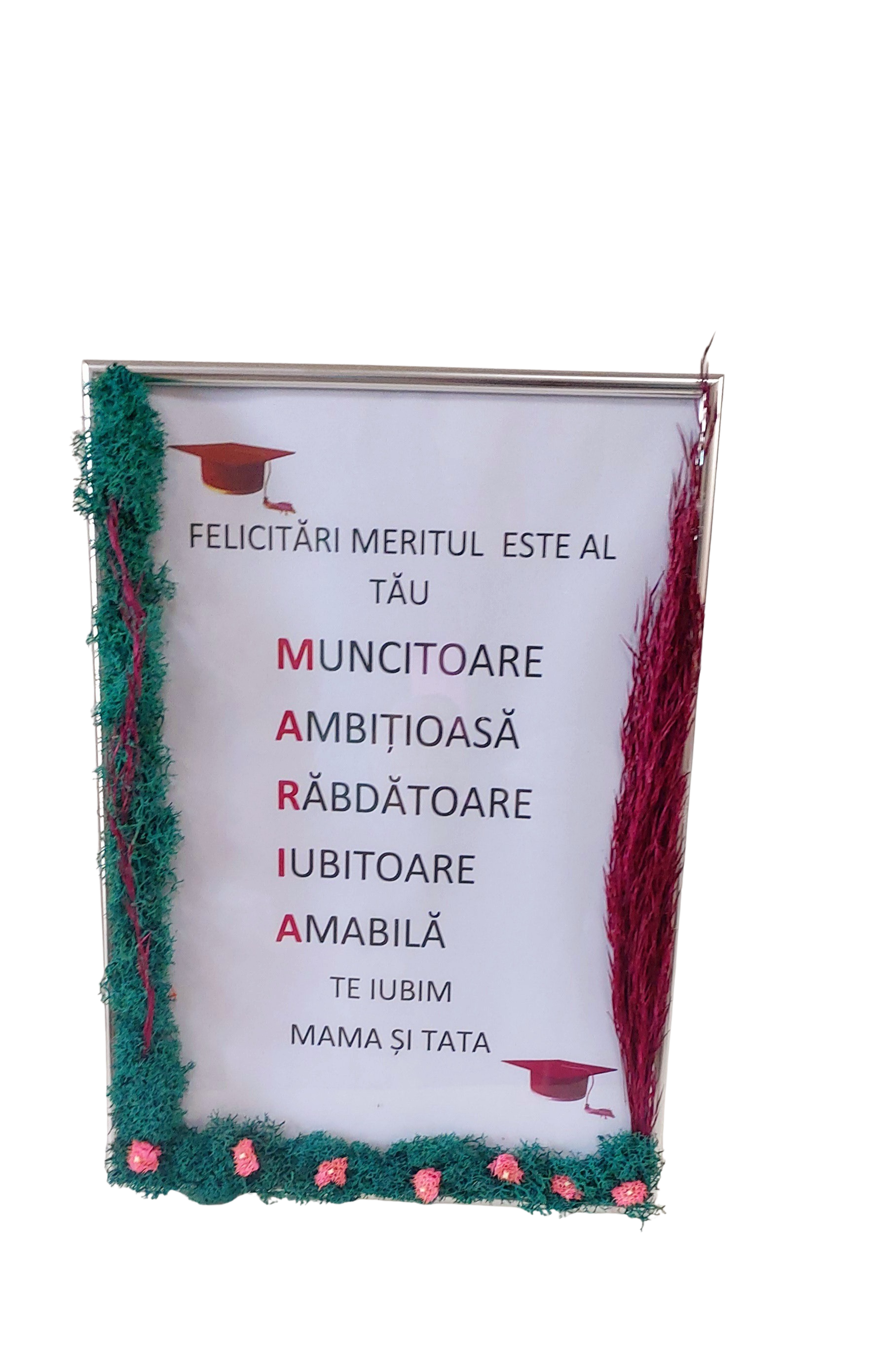 Tablou A4 personalizat cu nume pentru absolvire – Floraria Mariei