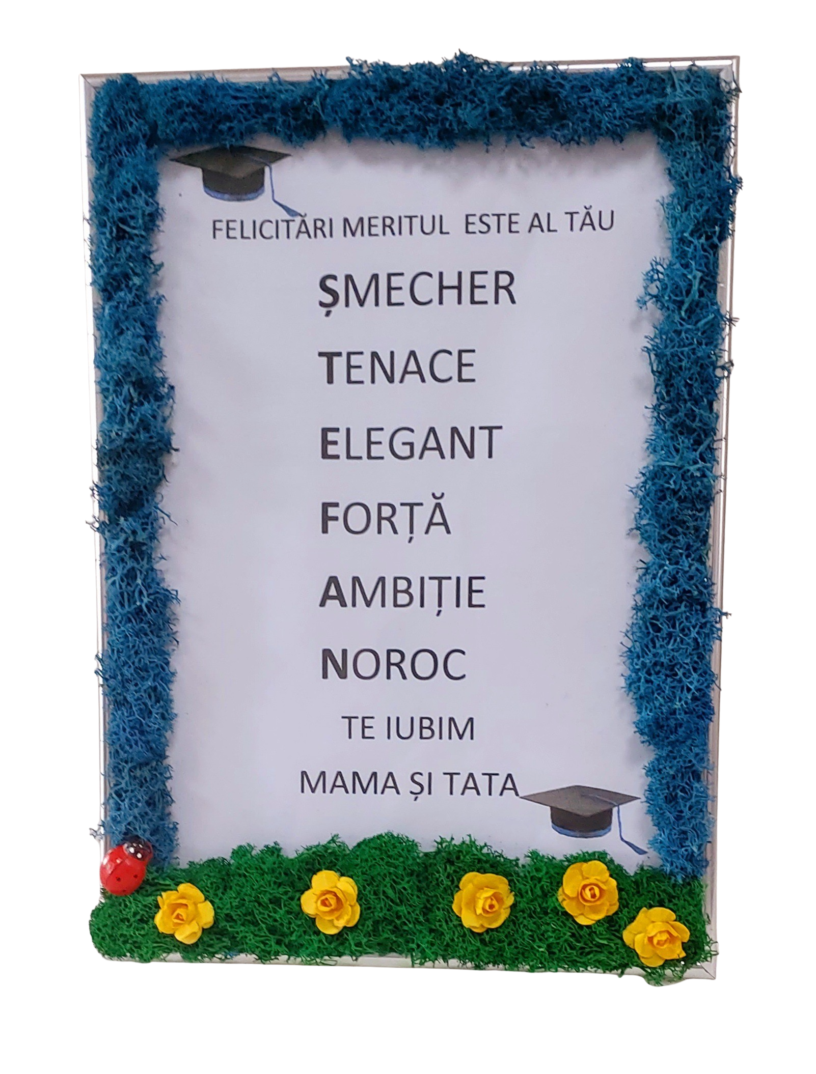 Tablou A4 personalizat cu nume pentru absolvire – Floraria Mariei - imagine 2