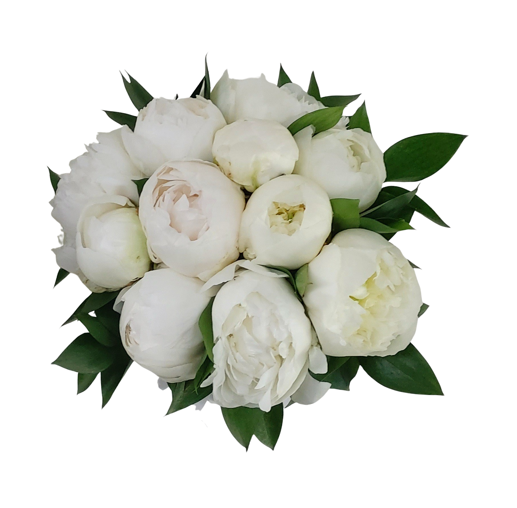 Buchet cununie cu bujori albi și verdeață – Floraria Mariei