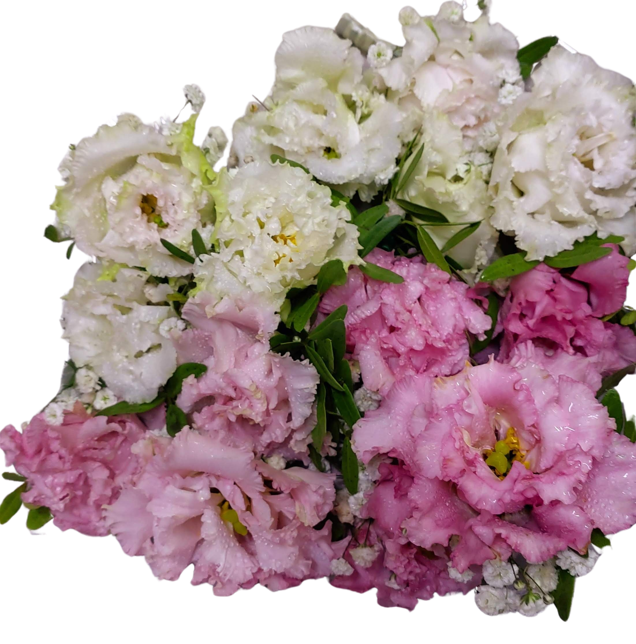 Cocarde și brățări pentru domnișoarele de onoare, cu flori naturale – Floraria Mariei - imagine 3