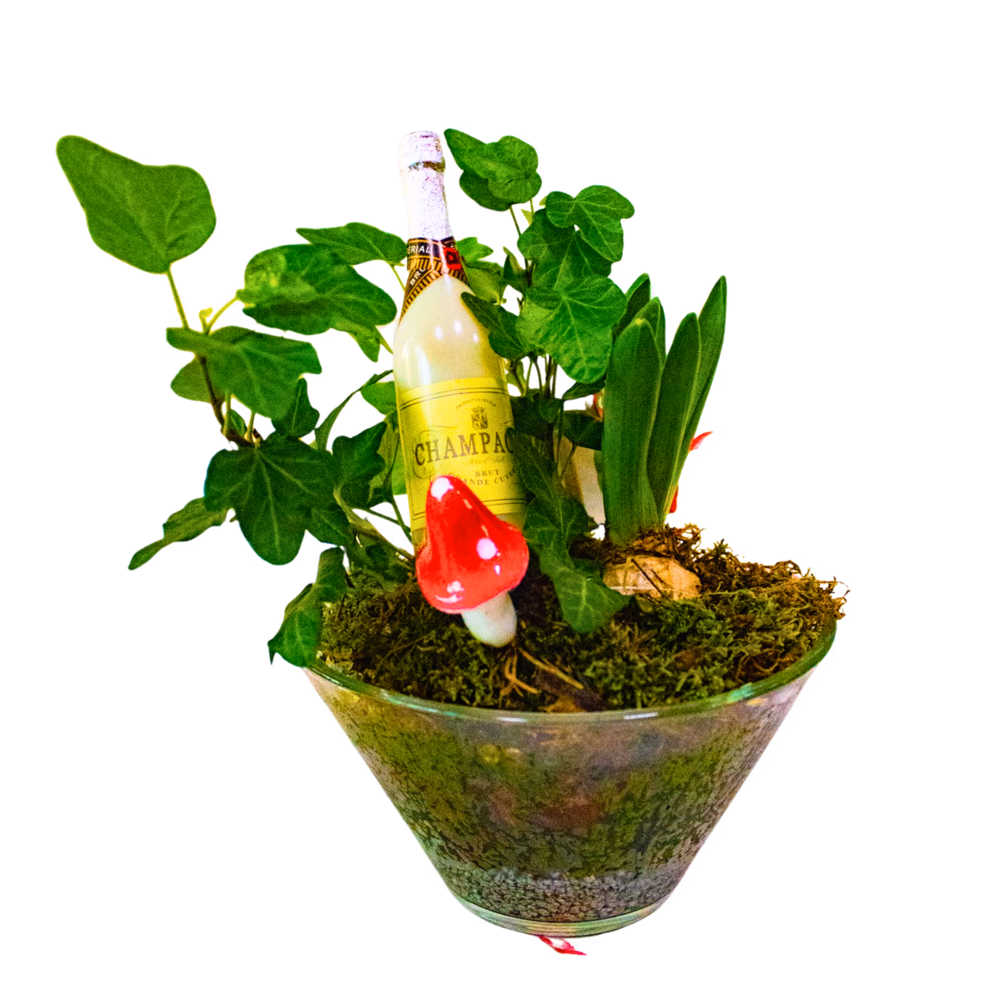 Aranjament Sezonier în Sticlă cu iederă și plante de sezon – Floraria Mariei
