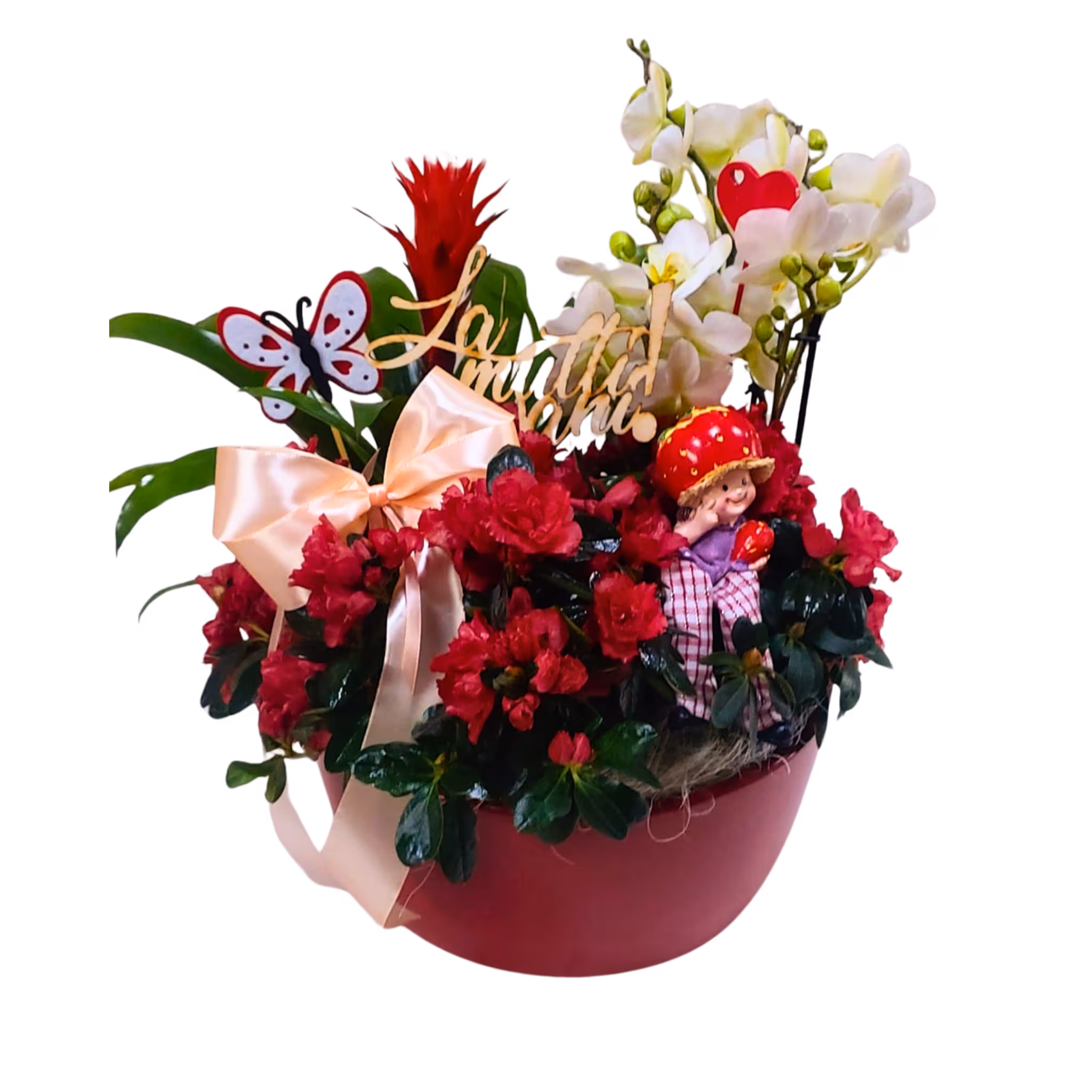 Aranjament din plante cu orhidee albă, bromelie și azalee, în vas ceramic