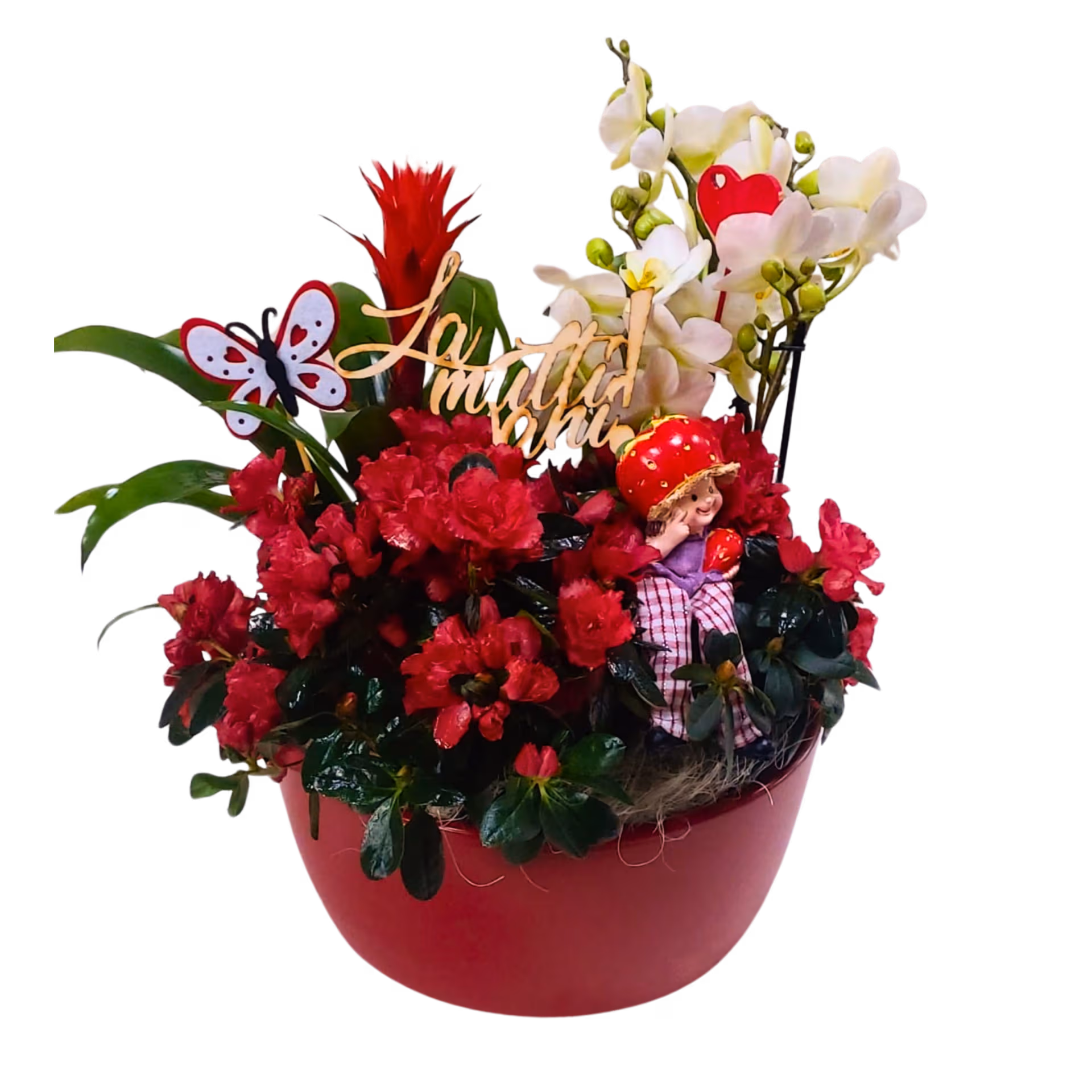 Aranjament din plante cu orhidee albă, bromelie și azalee, în vas ceramic - imagine 2