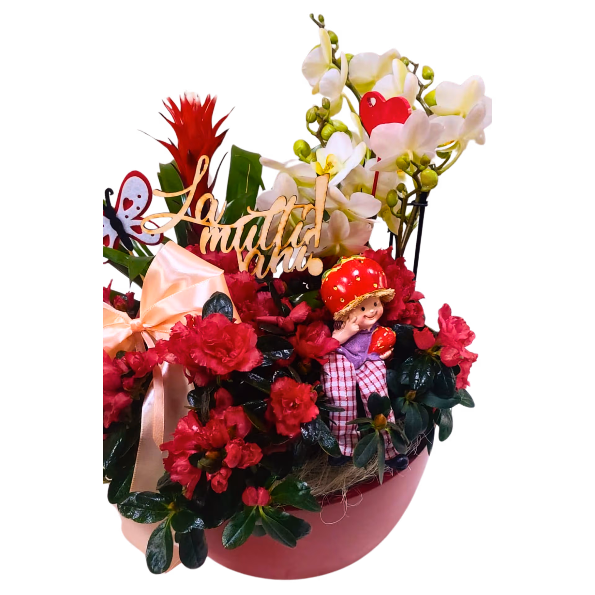 Aranjament din plante cu orhidee albă, bromelie și azalee, în vas ceramic - imagine 3