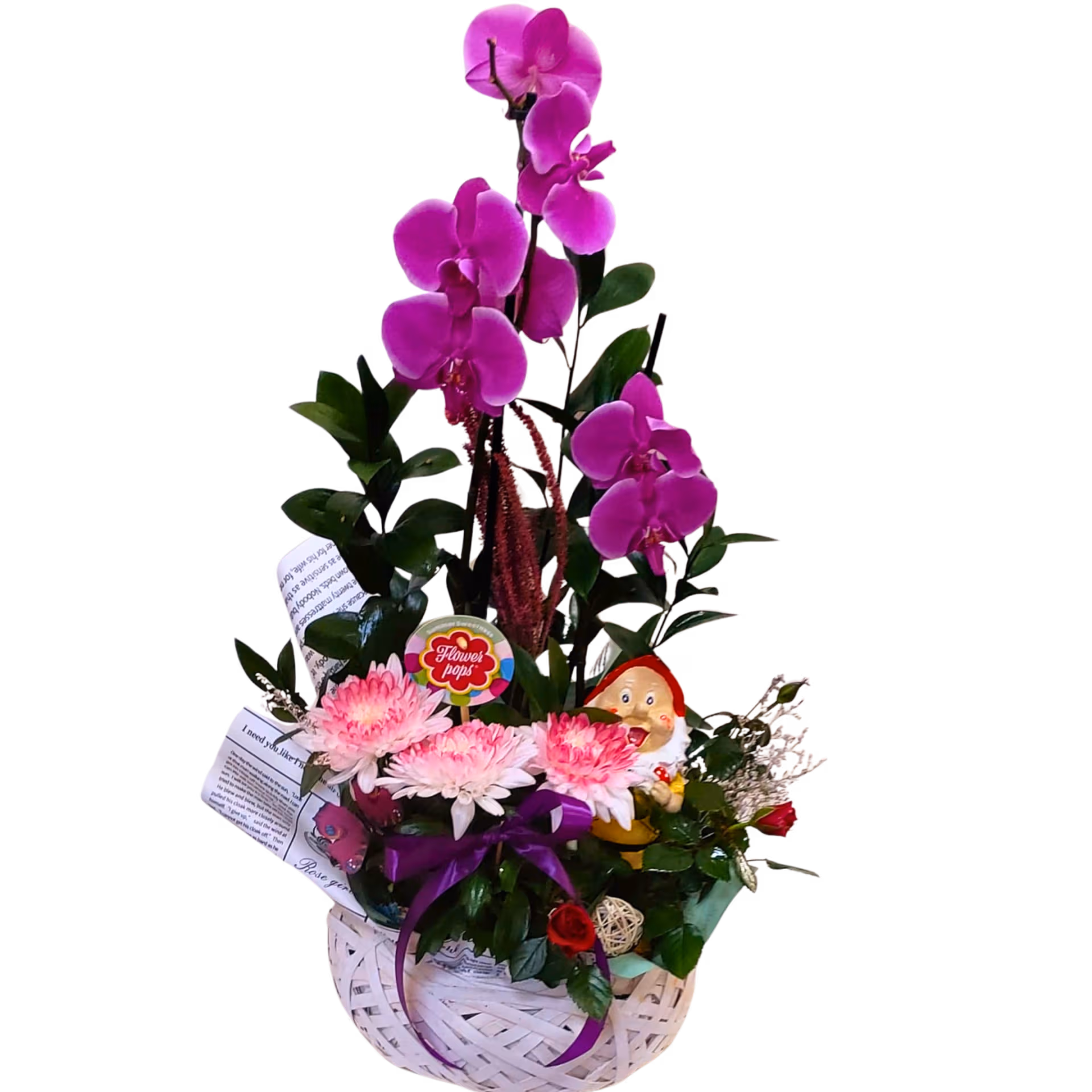 Aranjament din plante cu orhidee în coș, crizantemă, trandafiri și pitic decorativ
