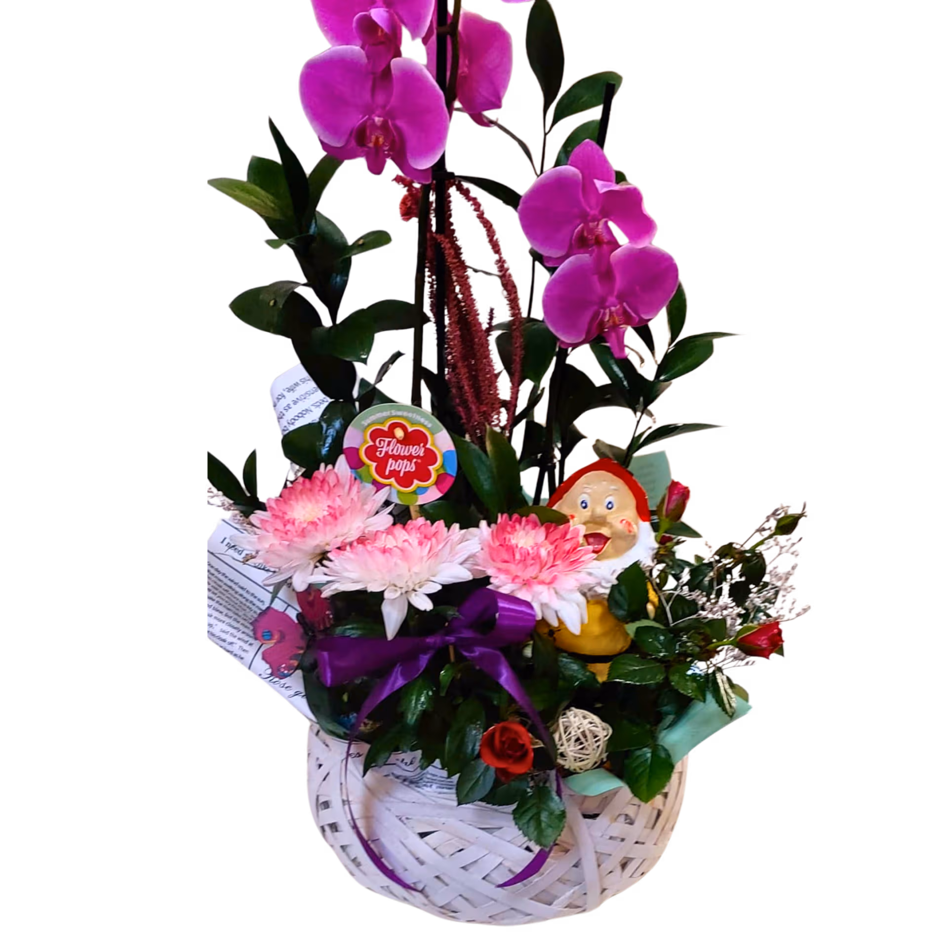 Aranjament din plante cu orhidee în coș, crizantemă, trandafiri și pitic decorativ - imagine 2