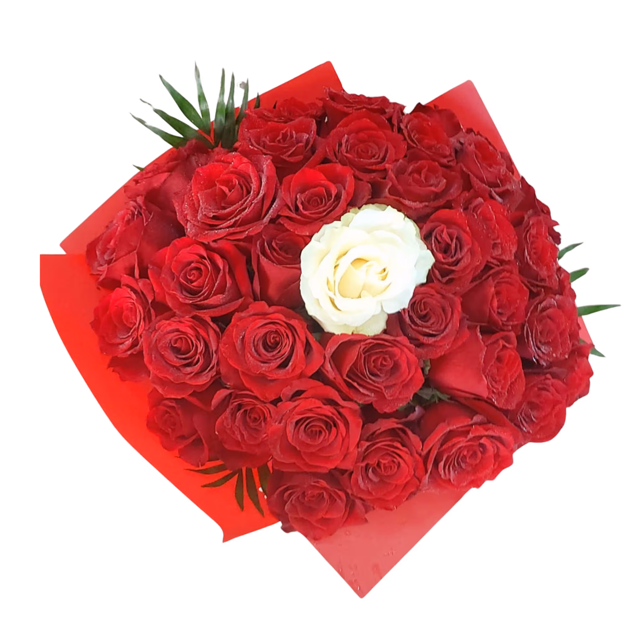 Buchet 39 trandafiri (38 roșii și 1 alb) – Floraria Mariei