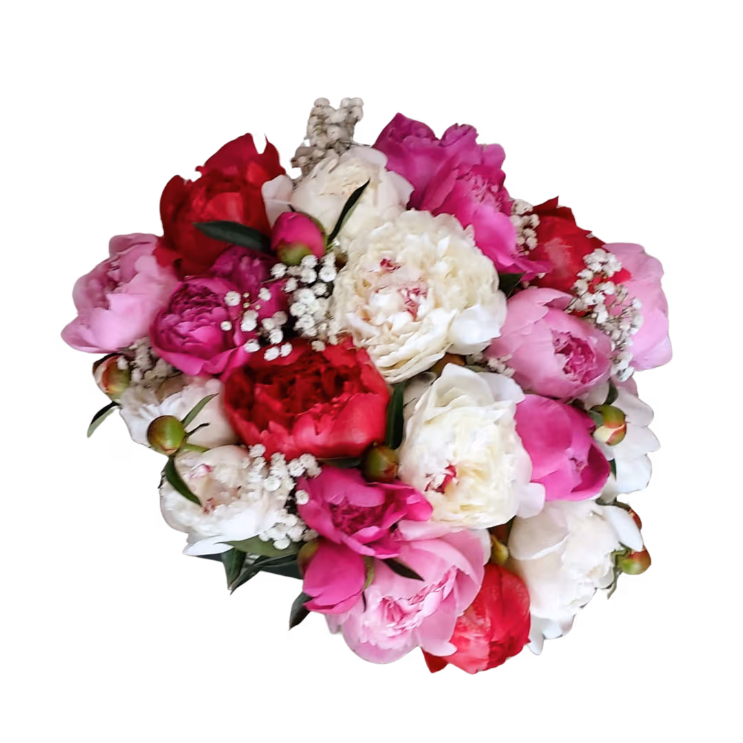 Buchet 21 de bujori colorați, legați cu panglică – Floraria Mariei