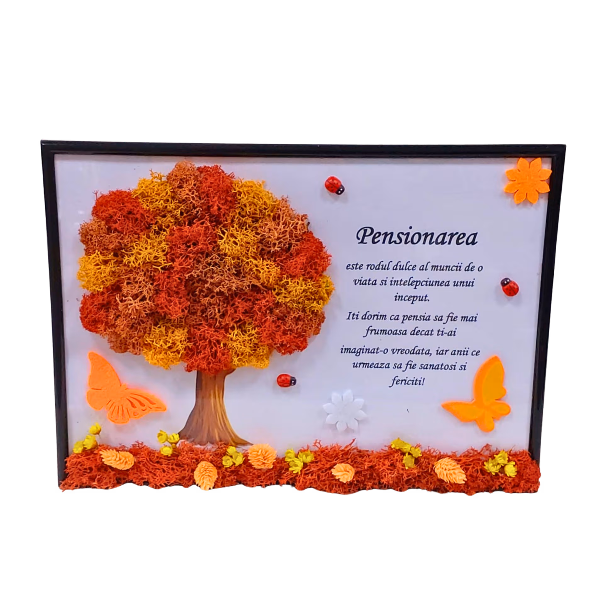 Tablou cu licheni pentru pensionare – cadou decorativ de la Floraria Mariei